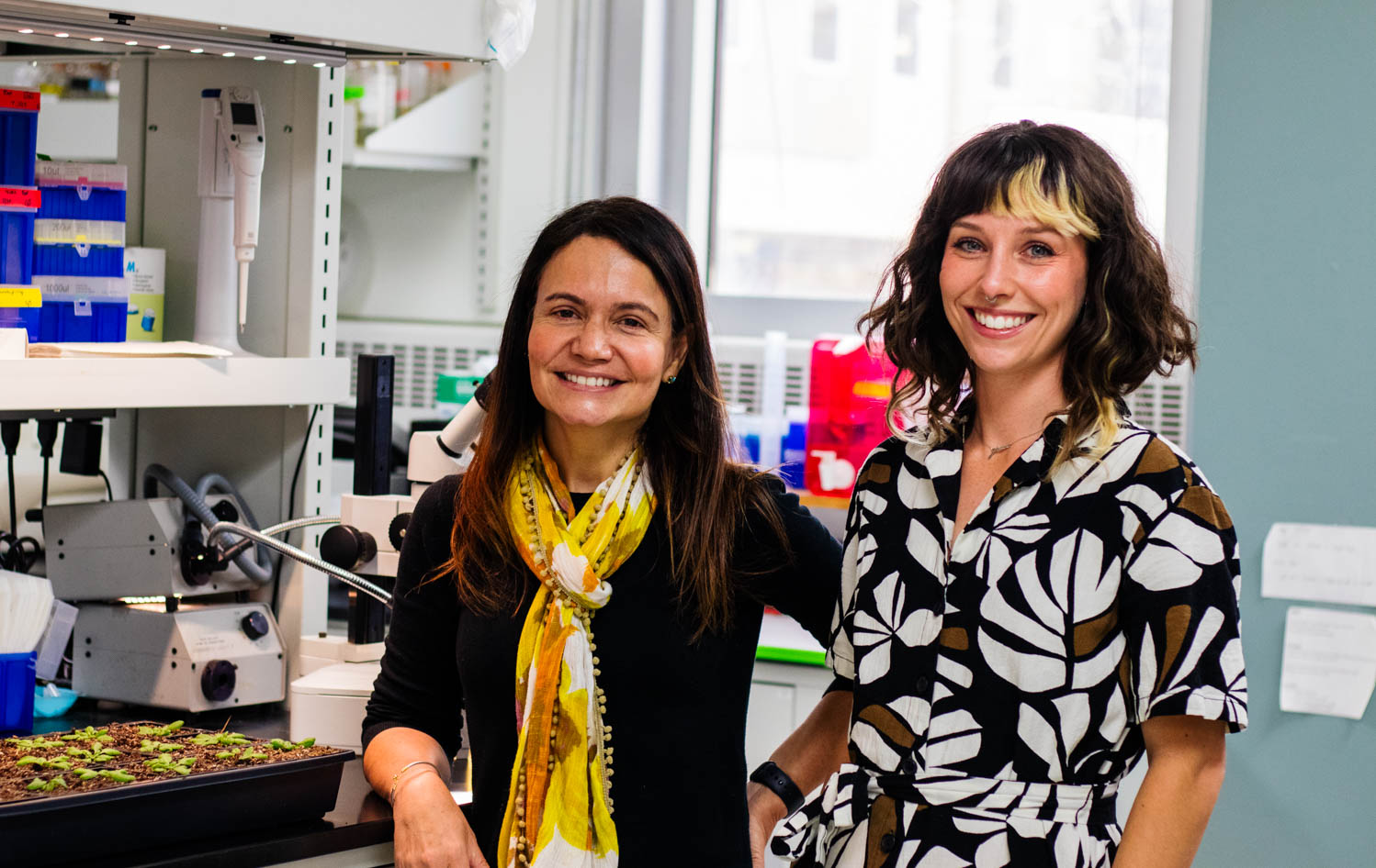 CSU researchers pioneer new method in plant hormone therapy, pave way for agricultural innovation