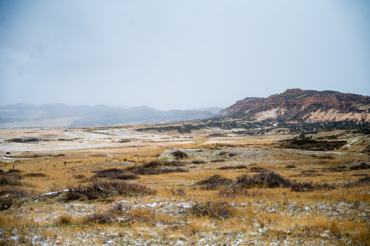 The natural area Soapstone Prairies contains the Lindenmeier Site, an anthropological site that was the focus of Robert Madden’s work studying Native American Culture, April 17. The Lindenmeier site is an example of a folsom site, an archaeological site characterized by the existence of evidence proving the 12,000 year old habituation of North America.