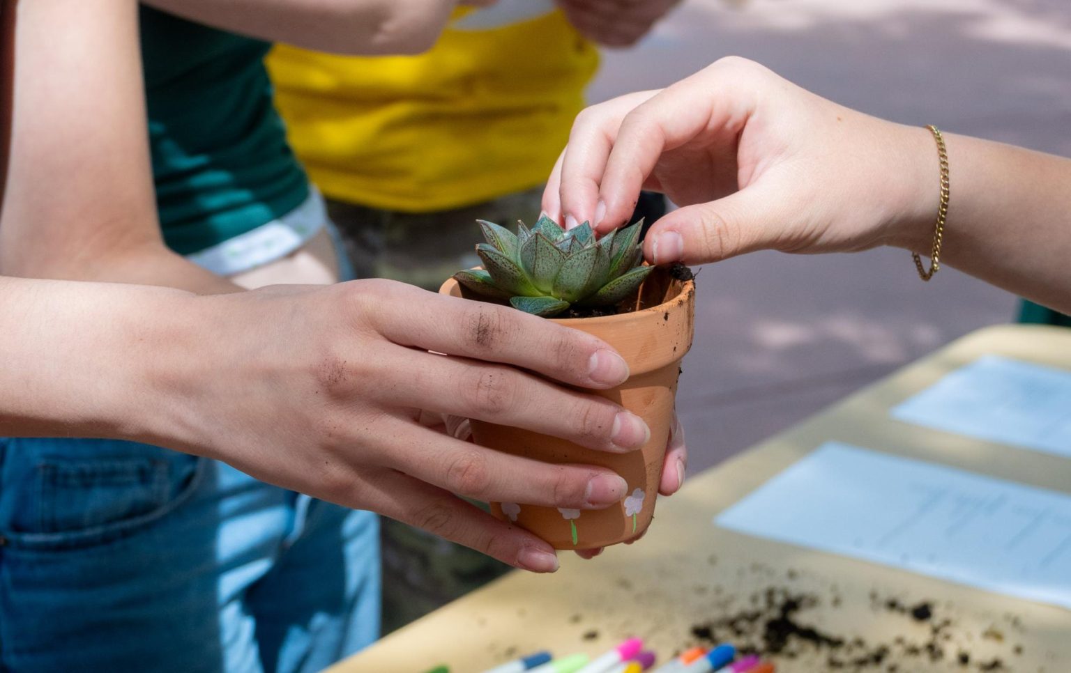 CSU Earth Day Festival highlights community-led efforts toward change ...