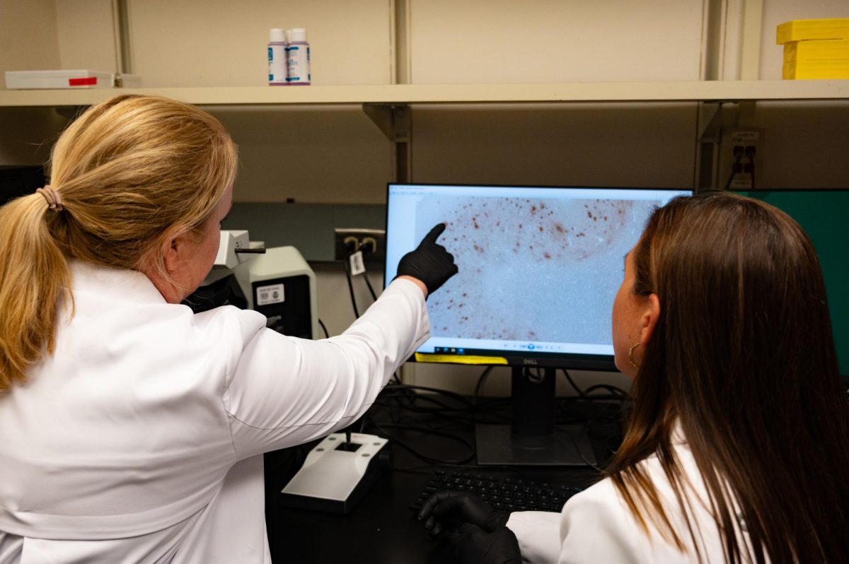 Julie Moreno, a Neurotoxicologist and professor in Prion research at Colorado State University, and Stephanie McGrath, a doctor of veterinary medicine and an associate professor of Neurology for Colorado State University, examine a cross section of brain tissue with amyloid plaque build up, to examine the different proteins and how they interact with the brain during the course of a prion disease,  April 23.