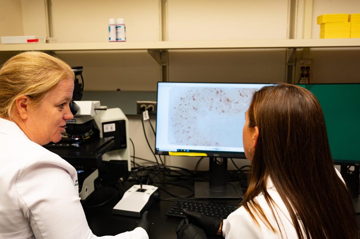 Julie Moreno, a Neurotoxicologist and professor in Prion research at Colorado State University, and Stephanie McGrath, a doctor of veterinary medicine and an associate professor of Neurology for Colorado State University, examine a cross section of brain tissue with amyloid plaque build up, to examine the different proteins and how they interact with the brain during the course of a prion disease,  April 23.