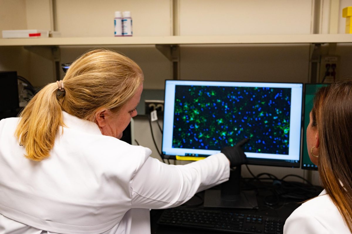 Julie Moreno, a Neurotoxicologist and professor in Prion research at Colorado State University, and Stephanie McGrath, a doctor of veterinary medicine and an associate professor of Neurology for Colorado State University, examine a stained slide of cross sectioned brain tissue for evidence of beta amyloid proteins that result in neurodegenerative disorders, April 23. This specific slide looks at astrocyte cells in the blood-brain barrier, a type of glial cell that maintain homeostasis and promote synaptic formation, and their interactions with beta-amyloid proteins.