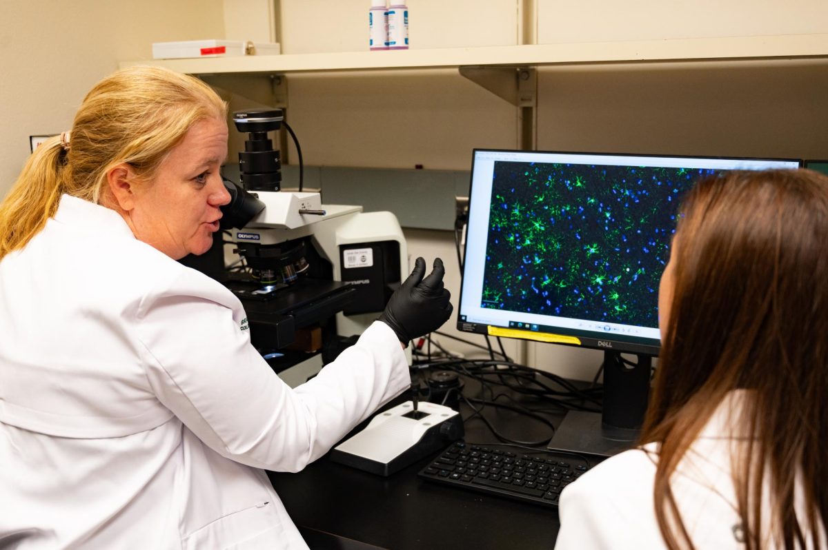 Julie Moreno, a Neurotoxicologist and professor in Prion research at Colorado State University, and Stephanie McGrath, a doctor of veterinary medicine and an associate professor of Neurology for Colorado State University, examine a stained slide of cross sectioned brain tissue for evidence of beta amyloid proteins that result in neurodegenerative disorders, April 23. This specific slide looks at astrocyte cells in the blood-brain barrier, a type of glial cell that maintain homeostasis and promote synaptic formation, and their interactions with beta-amyloid proteins.