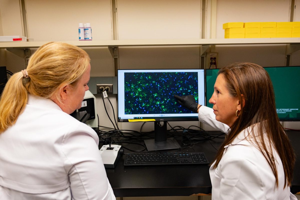 Julie Moreno, a Neurotoxicologist and professor in Prion research at Colorado State University, and Stephanie McGrath, a doctor of veterinary medicine and an associate professor of Neurology for Colorado State University, examine a stained slide of cross sectioned brain tissue for evidence of beta amyloid proteins that result in neurodegenerative disorders, April 23. This specific slide looks at astrocyte cells in the blood-brain barrier, a type of glial cell that maintain homeostasis and promote synaptic formation, and their interactions with beta-amyloid proteins.