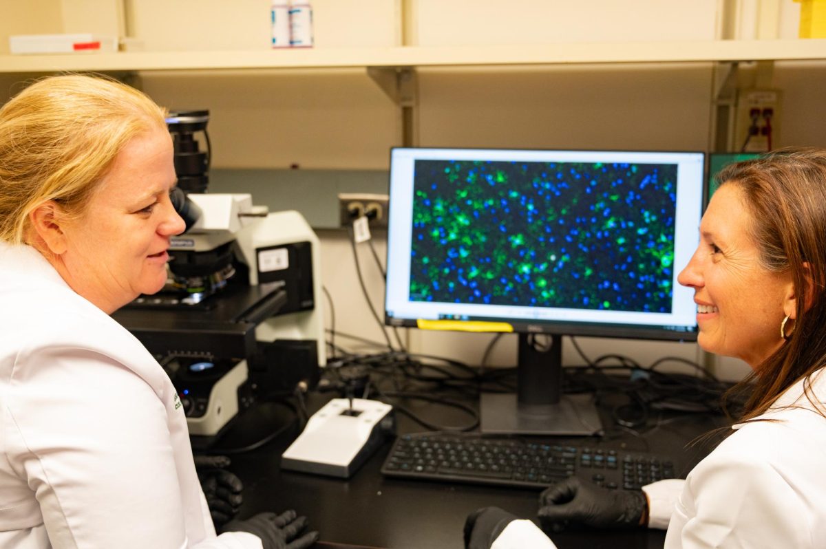 Julie Moreno, a Neurotoxicologist and professor in Prion research at Colorado State University, and Stephanie McGrath, a doctor of veterinary medicine and an associate professor of Neurology for Colorado State University, examine a stained slide of cross sectioned brain tissue for evidence of beta amyloid proteins that result in neurodegenerative disorders, April 23. This specific slide looks at astrocyte cells in the blood-brain barrier, a type of glial cell that maintain homeostasis and promote synaptic formation, and their interactions with beta-amyloid proteins.