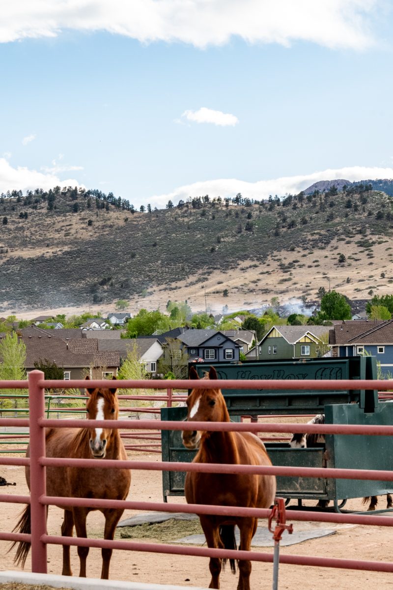 Smoke from a nine-acre fire first identified in a subdivision of the Pond neighborhood April 23. Poudre Fire Authority worked with the Larimer County Sheriff's Office and other surrounding departments to sucessfully contain the fire.