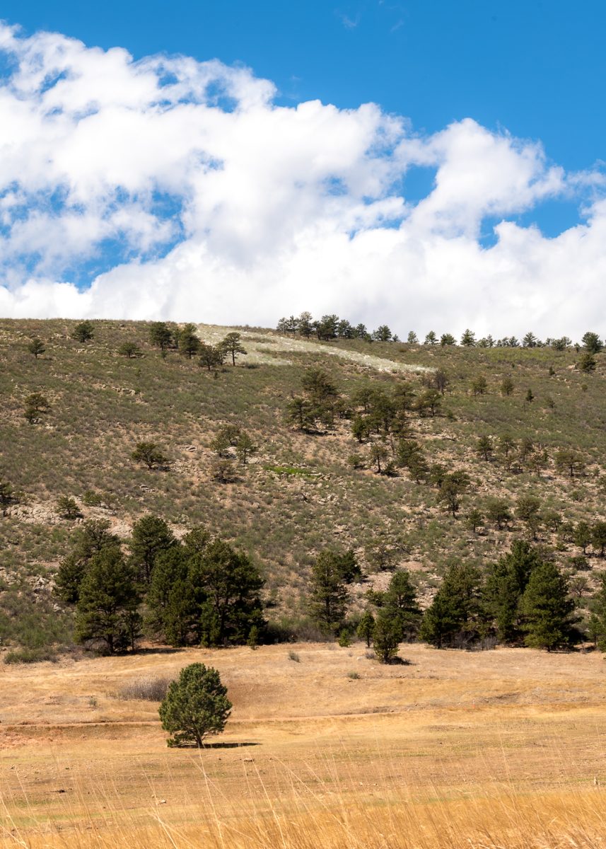 Painted "A" spotted on the Maxwell Natural Area trail April 11. The Painted "A" is an iconic landmark of Fort Collins next to Horsetooth reservoir that gets repainted every year by students and volunteers. The big "A" serves as tribute to the agricultural roots of the "Colorado Agriculture College" known as "Aggies."