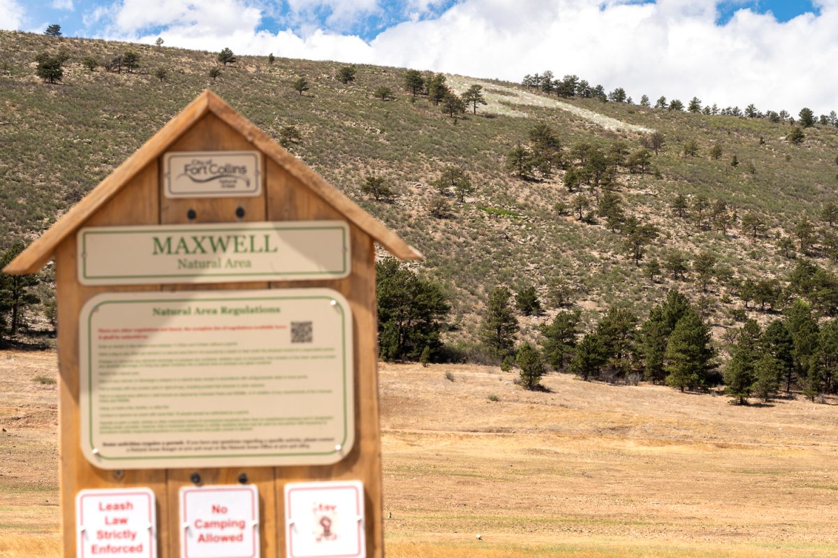 Painted "A" next to the Maxwell Natural Area Sign April 11.