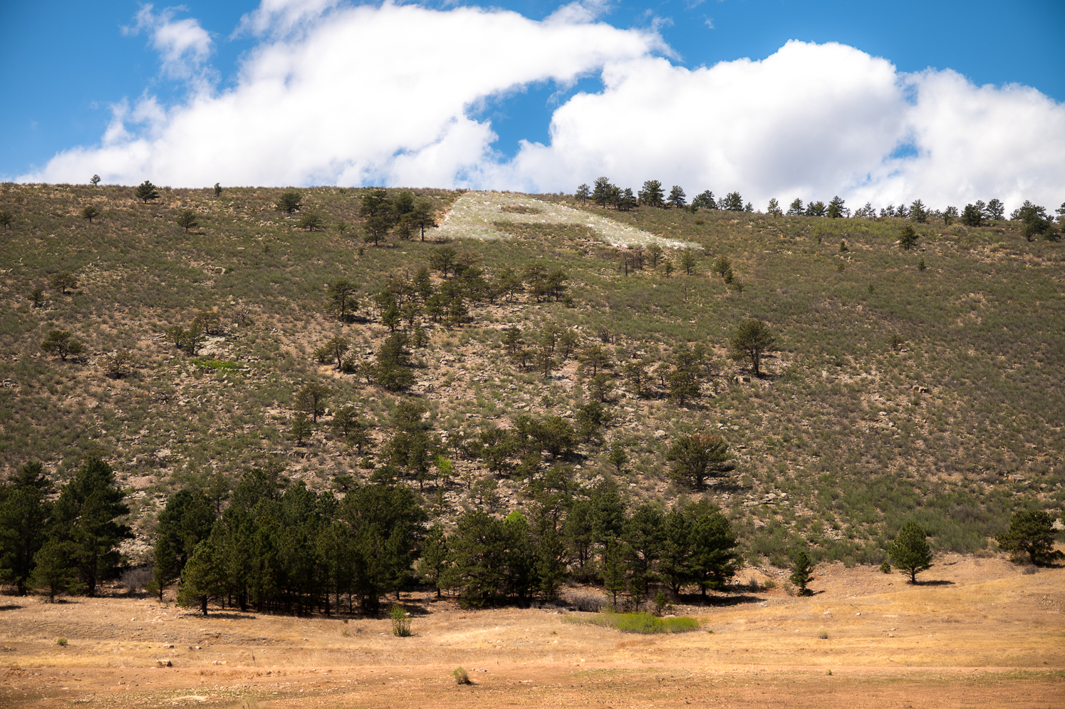 CSU prepares for another year of traditions with Ram Welcome's annual Hike to The A