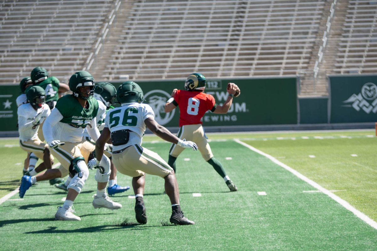 Colorado State University transfer QB Hauss Hejny (8) winds up for a throw while the CSU defense descends on him April 4.