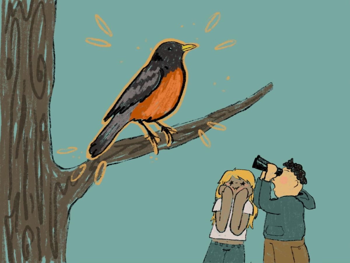 CSU students, professors discuss rise in birdwatching among young people