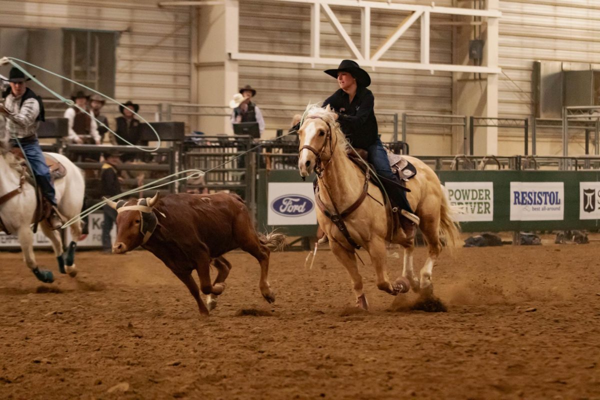 Cowgirl ropes in steer during the team roping event at Colorado State University's 76th Annual Skyline Stampede Rodeo at The Ranch Events Complex April 3.