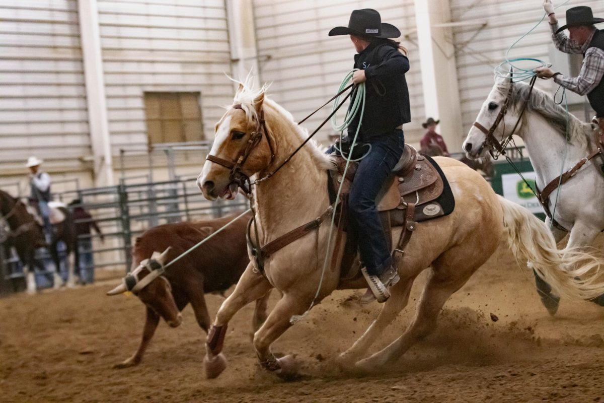 A cowgirl ropes during the team roping event at Colorado State University's 76th Annual Skyline Stampede Rodeo at The Ranch Events Complex April 3.