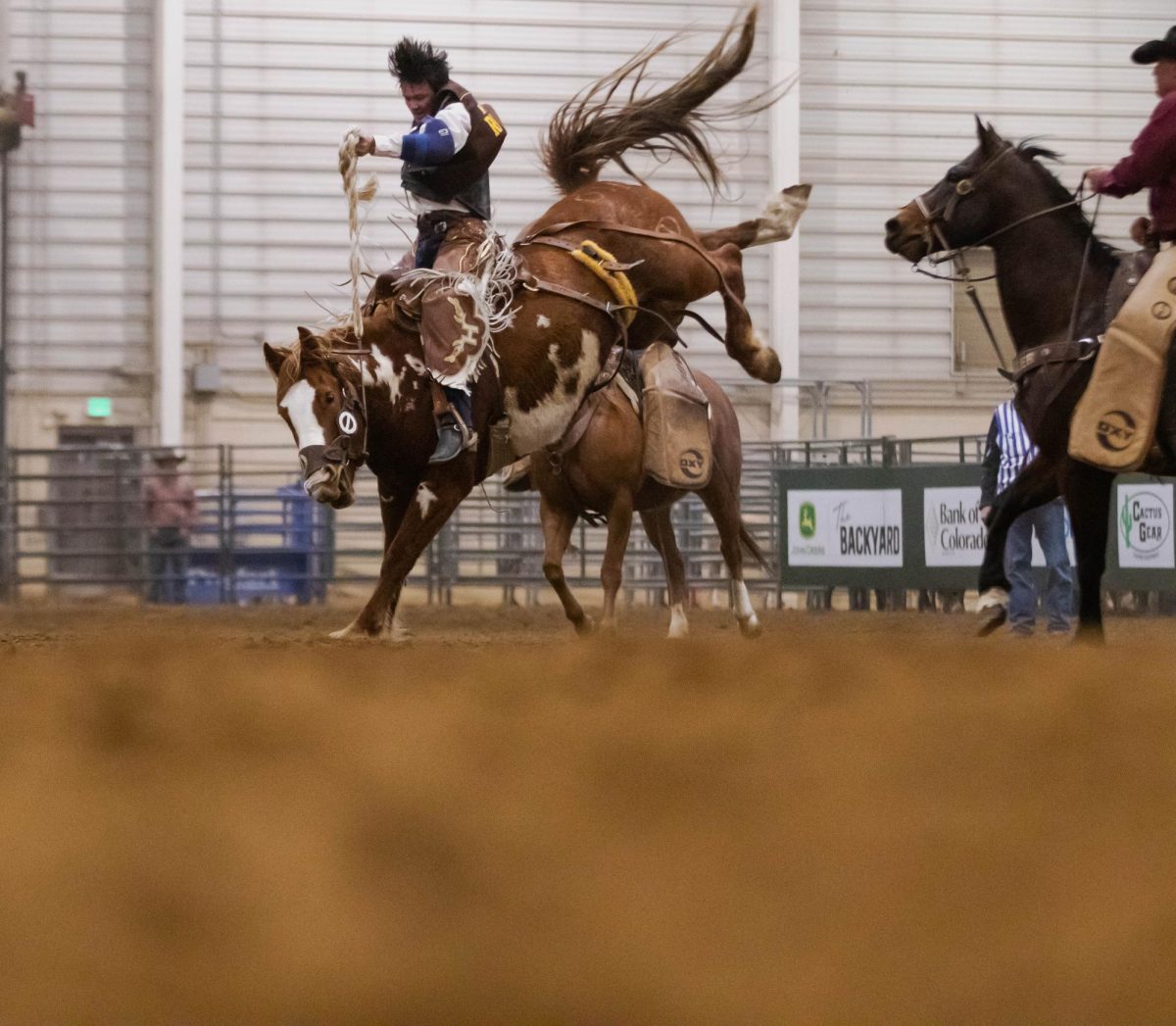 A saddle bronc rider holds on strong to a horse during Colorado State University's 76th Annual Skyline Stampede Rodeo at The Ranch Events Complex April 3.