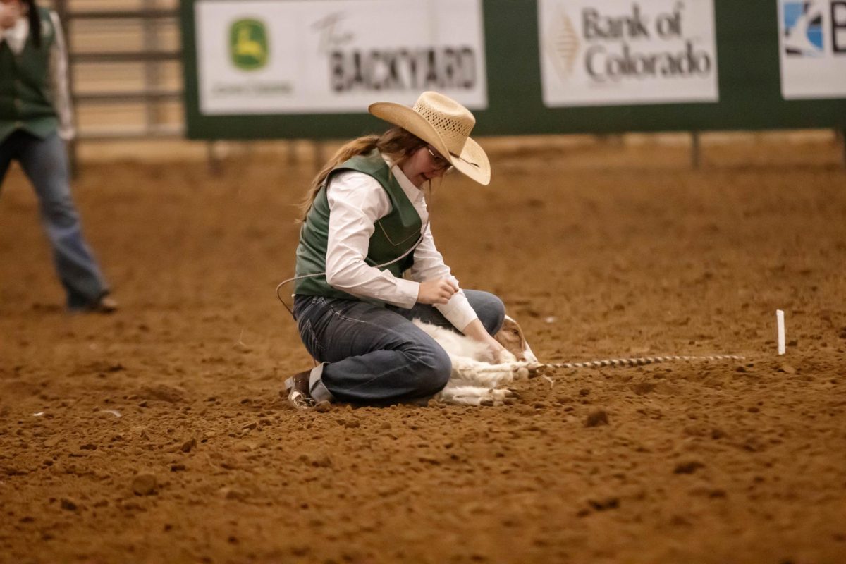 Colorado State University Rodeo team member Ava Bosko comeptes during the goat tying event at the 76th annual Skiline Stampede Rodeo, at The Ranch Events Complex on April 3.