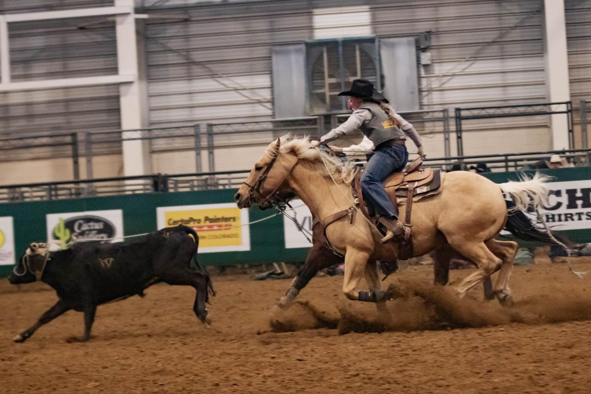 Laramie County Community College cowboy ropes in calf during the team roping event at the Skyline Stampede Rodeo in The Ranch Events Complex April 3.