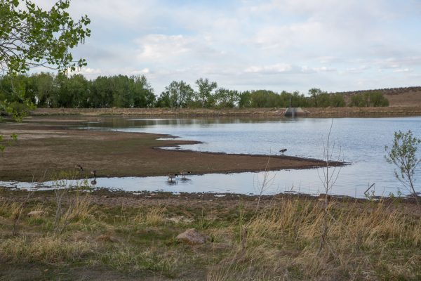 A lake sits with dry edges.