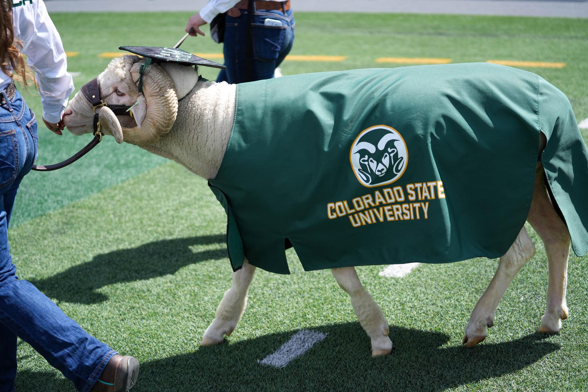 Gallery: CSU holds second year of universitywide commencement, department-specific recognition ceremonies