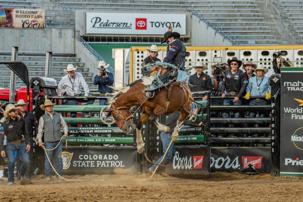 Matt Cicisly from California Polytechnic State University competes for the south team during the saddle bronc competition in the Professional Bull Riders' Collegiate All-Star Rodeo July 10.
