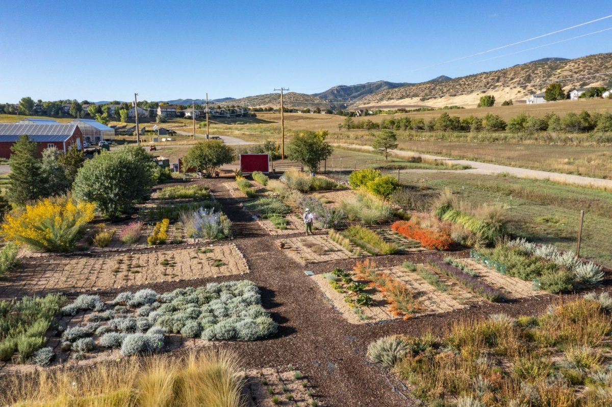Courtesy of Scott Dressel-Martin and Denver Botanic Gardens