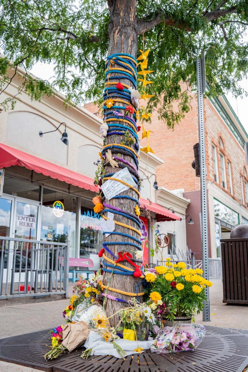 A tree on a sidewalk outside of Walrus Ice Cream in Old Town, Fort Collins is decorated with ropes, flowers and notes from the community as a memorial to the Tour de Fat crash Sept. 1. The crash resulted in the death of one person and injury of five others.