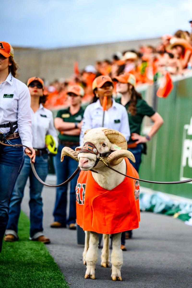 CAM the Ram and his handlers take a break from walking along the student section during Colorado State University's game against Southern Utah University Sept. 12.