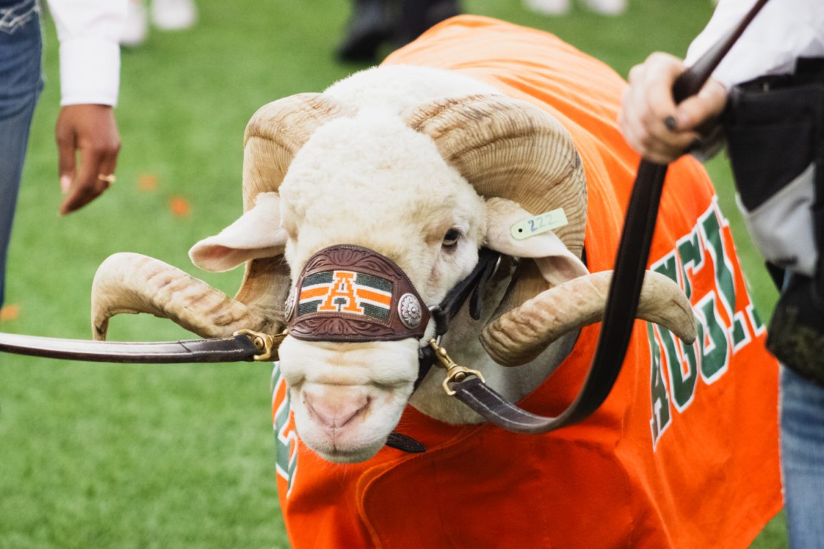 CAM the Ram walks past the endzone in Canvas Stadium during Colorado State University's Ag Day game against Southern Utah University Spet. 12. The Rams beat the Thunderbirds 58-24.