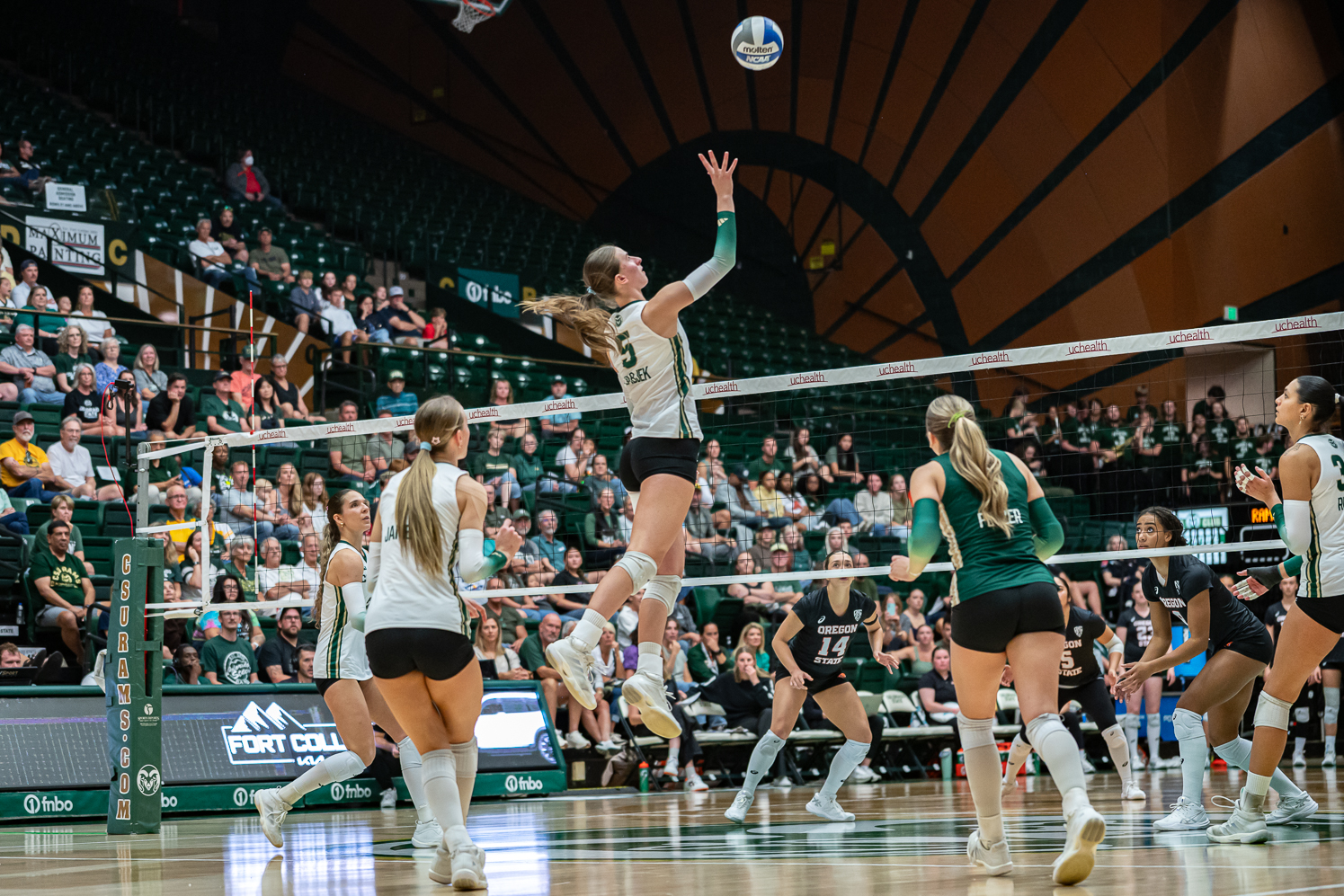 Gallery: CSU volleyball continues strong winning streak