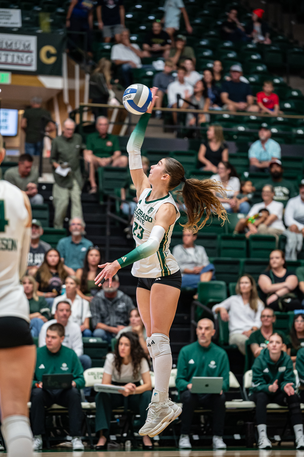 Gallery: CSU volleyball continues strong winning streak