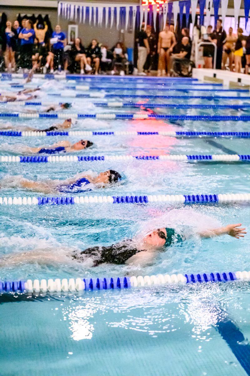 Colorado State University swimmer Bevin Toews competes in the 200 yard backstroke during the Front Range Invitational Oct. 2.