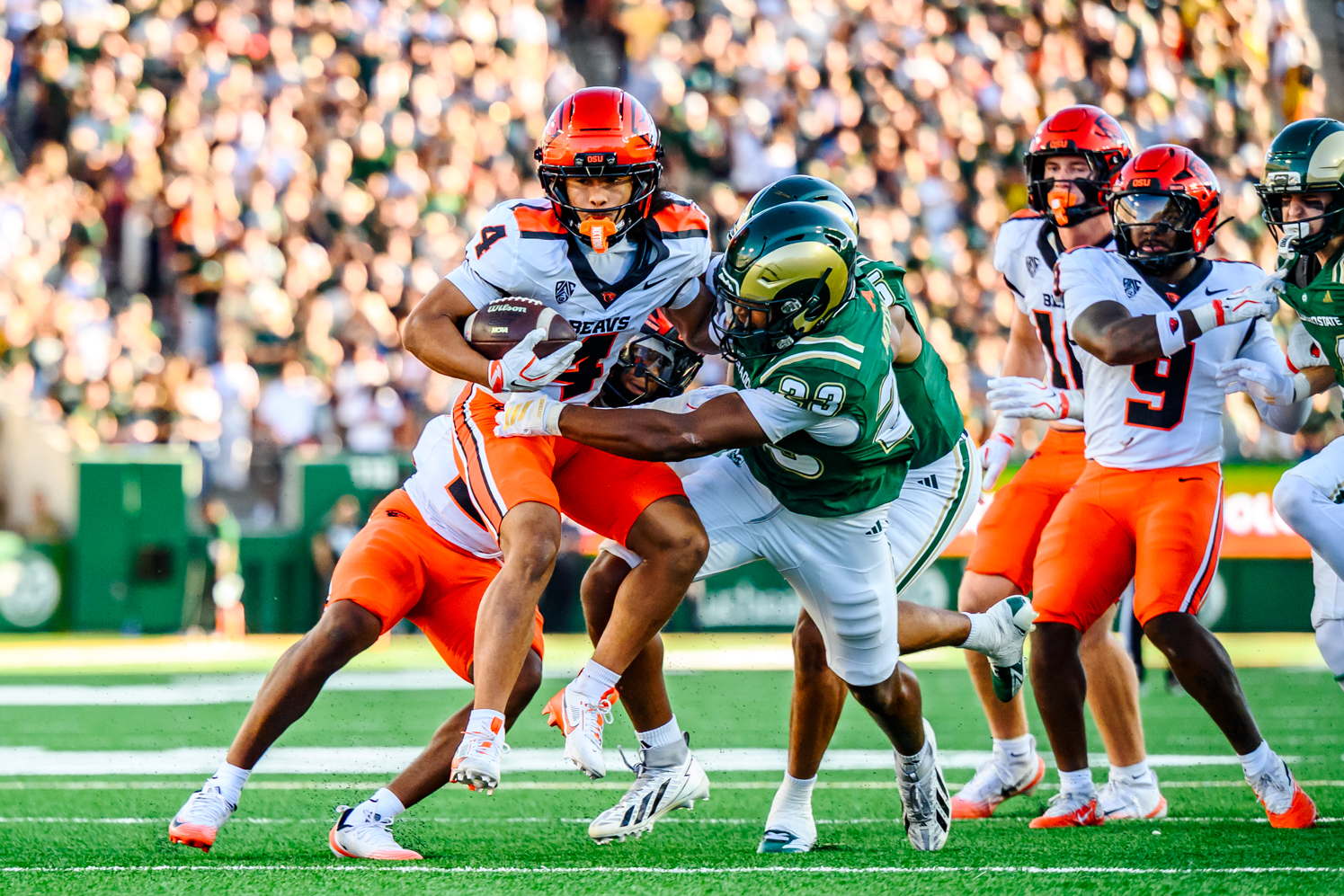 Gallery: CSU Football falls against Oregon State 56-26