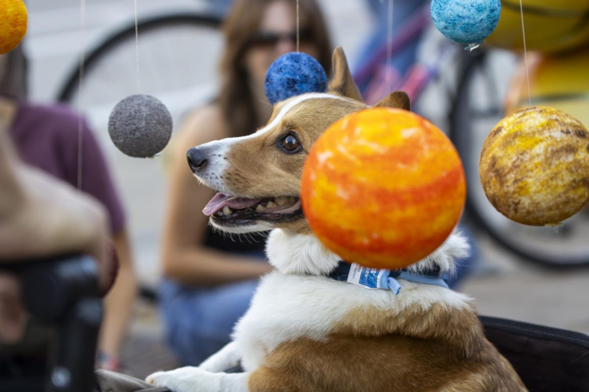A corgi dressed as "the center of the universe" is paraded around in a wagon with a hanging model solar system at the Tour de Corgi parade Oct. 3. The 12th annual event's theme was "Sploots in Space."