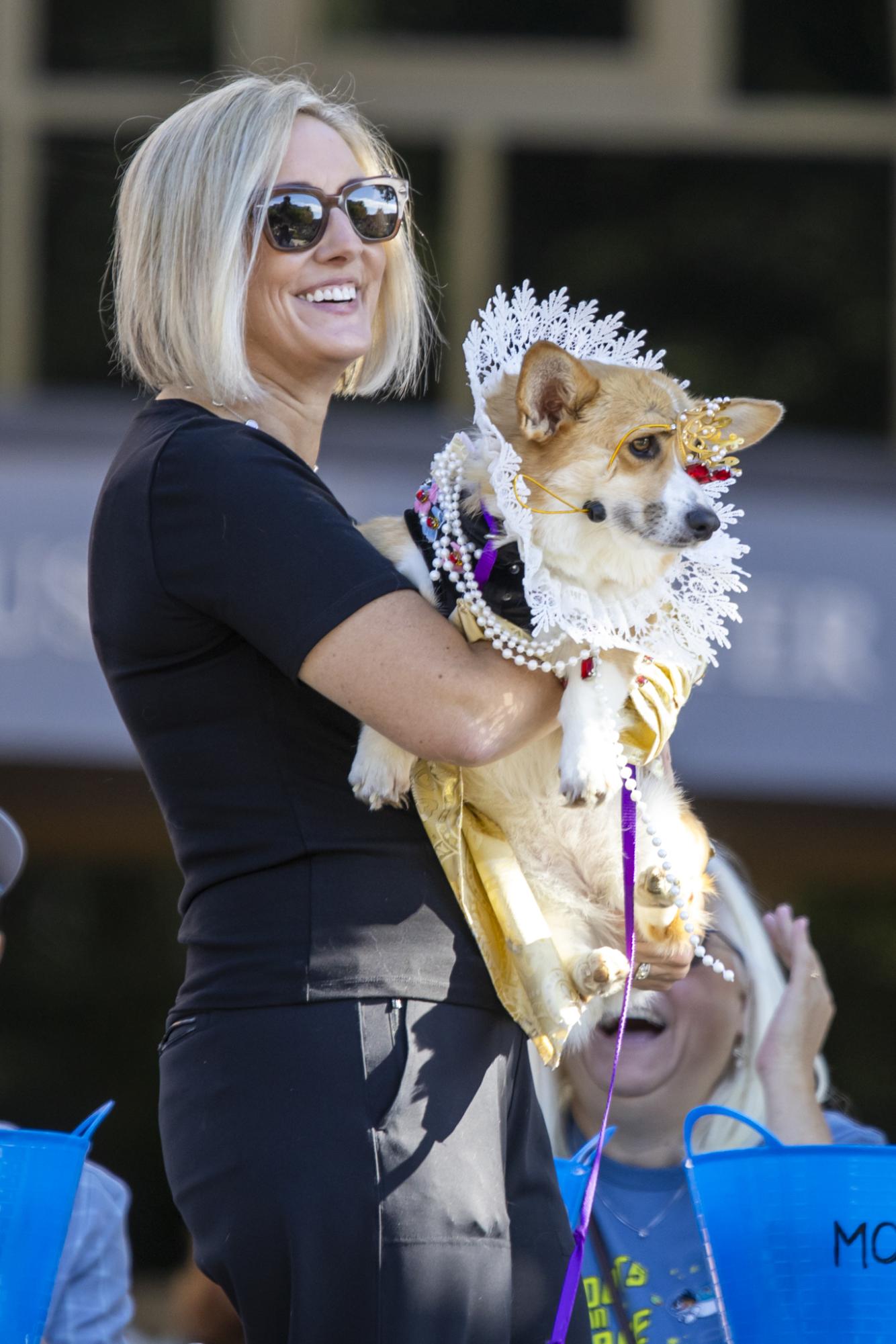 Gallery: Tour de Corgi celebrates 12th year
