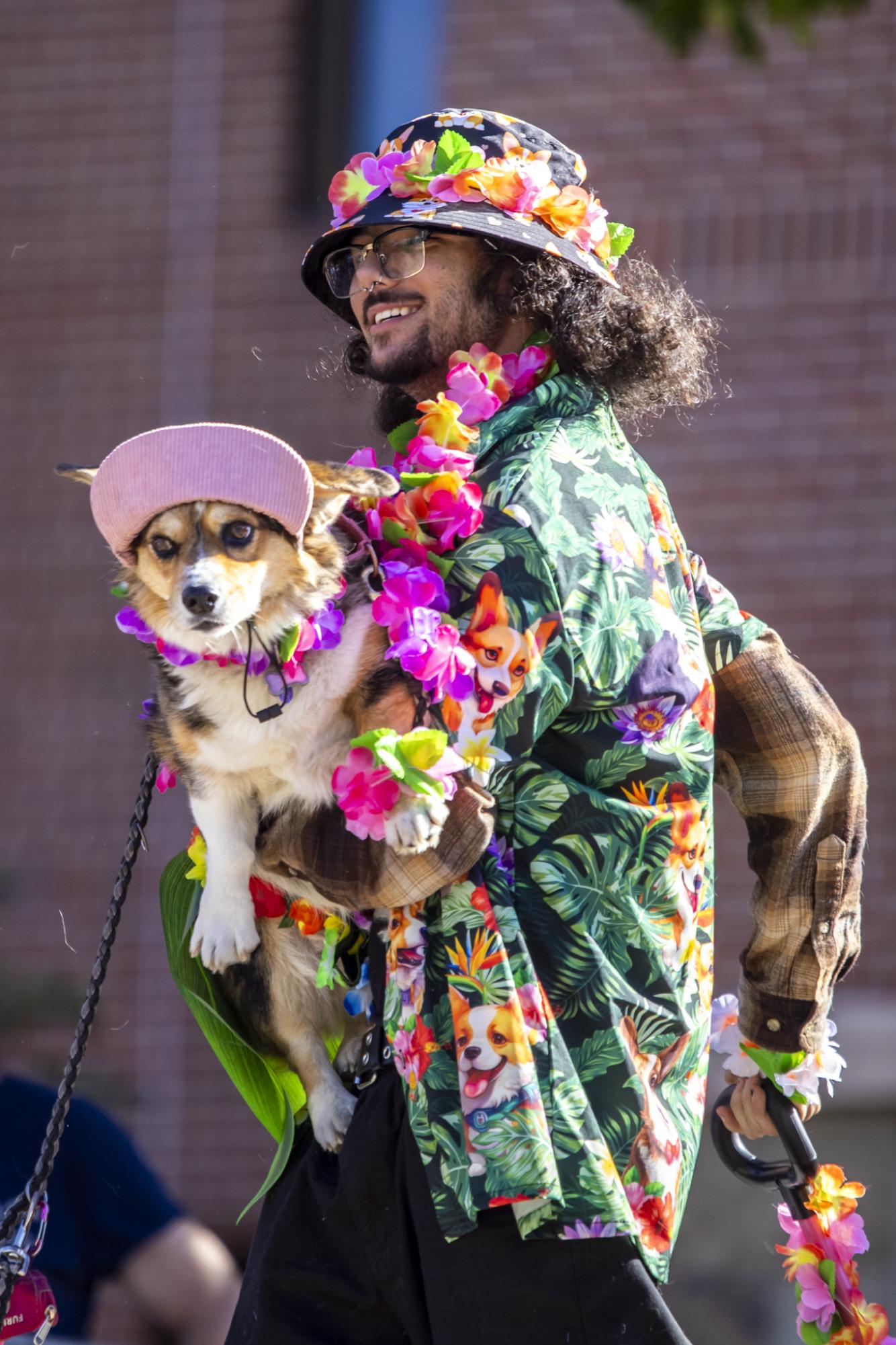 Gallery: Tour de Corgi celebrates 12th year