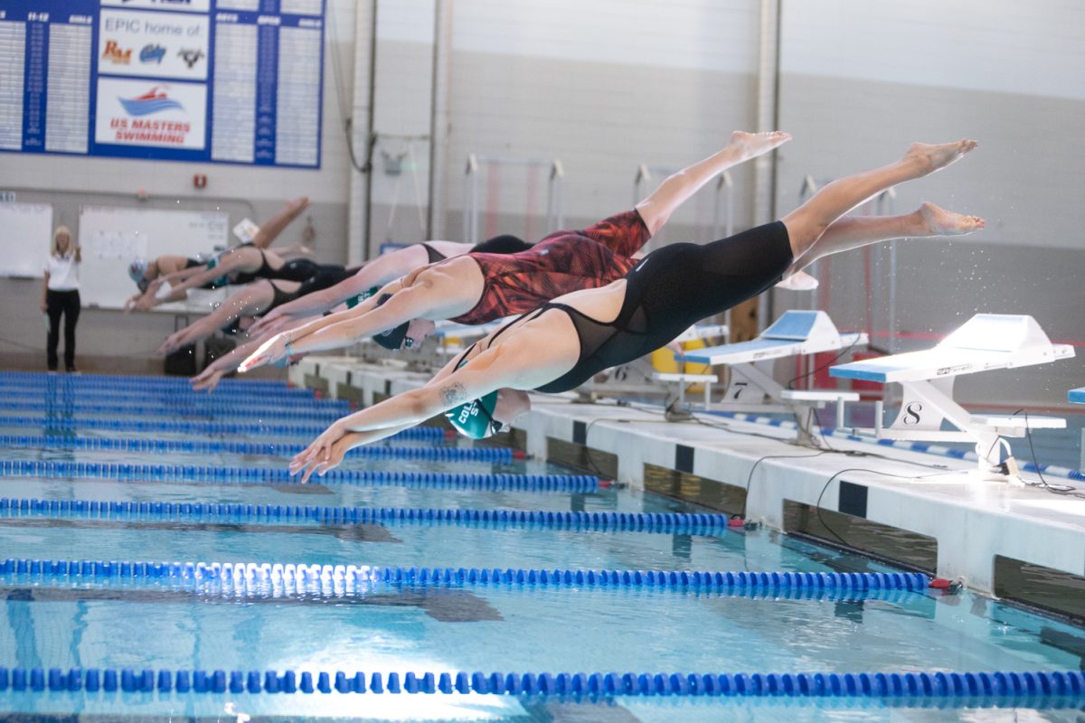 Colorado State University swimmer Carly Nelson dives into the pool at the start of the 1000-meter freestyle race. The meet against Colorado Mesa and Washington State on October 17th was held at Edora Pool Ice Center in Fort Collins, Colorado. 