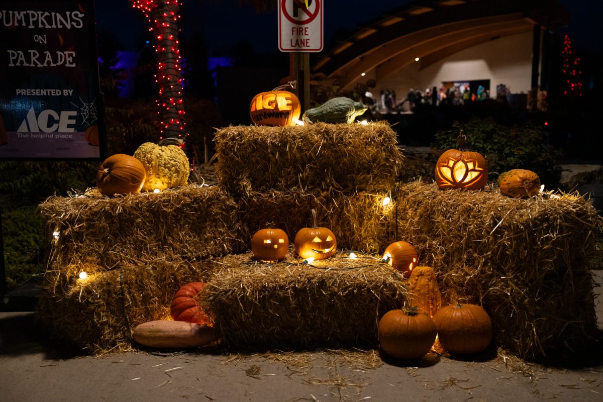 Carved pumpkins are displayed as Halloween decorations for The Gardens on Spring Creek's Pumpkins on Parade event Oct. 22.