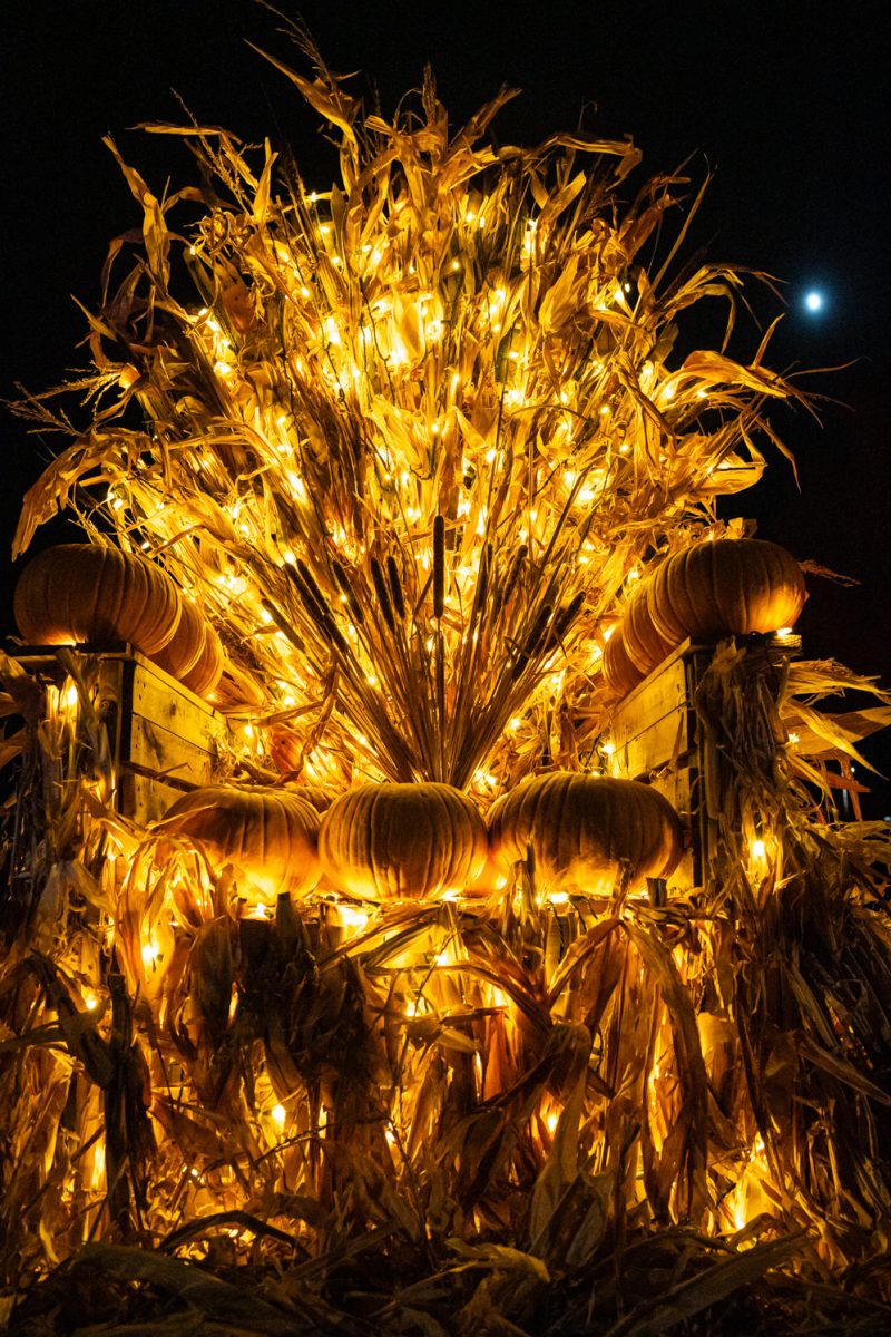 Gourd Of Thrones made by Rita Jokerst is displayed at "Pumpkins on Parade" located at The Gardens in Fort Collins, Colorado Oct. 22.