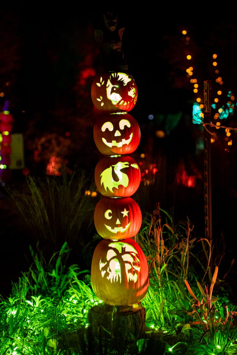 A lit up jackolatern stack of carved pumpkins displayed  at "Pumpkins on Parade" located at The Gardens in Fort Collins, Colorado Oct. 22.