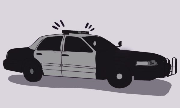 2026 Voter Guide: Amendment 81, Prop 132, 133 discuss law enforcement working with ICE, adjustments to legal punishments